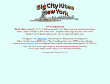Tablet Screenshot of bigcitykites.com